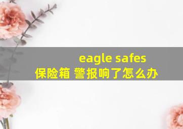 eagle safes 保险箱 警报响了怎么办